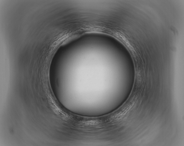 X0000112510433200908171337