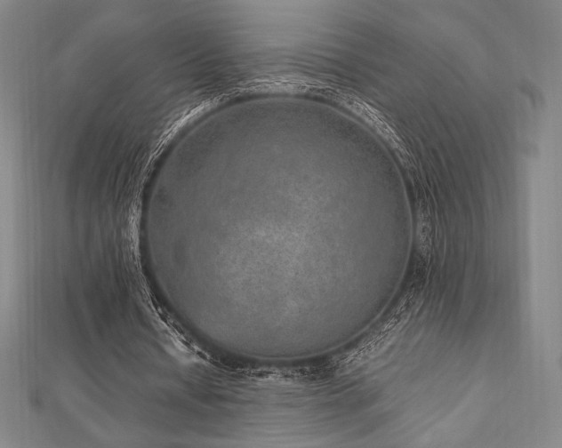 X0000112510434200908171337