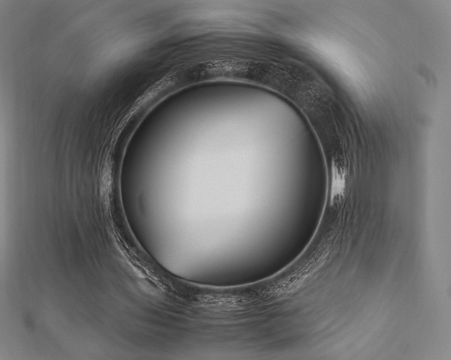 X0000112510435200908171337