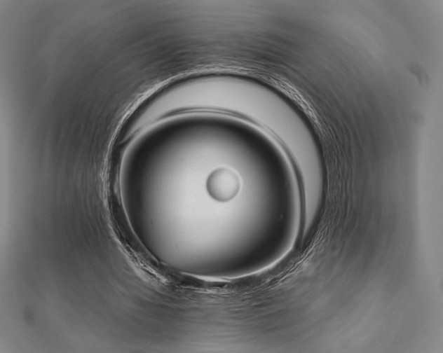 X0000112510436200908171337