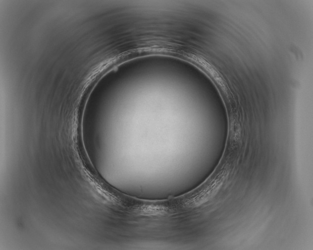 X0000112510437200908171337