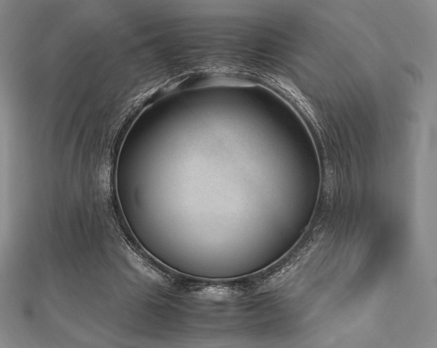 X0000112510441200908171337