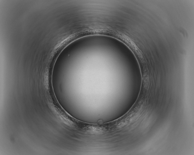 X0000112510442200908171337