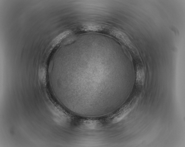 X0000112510444200908171337