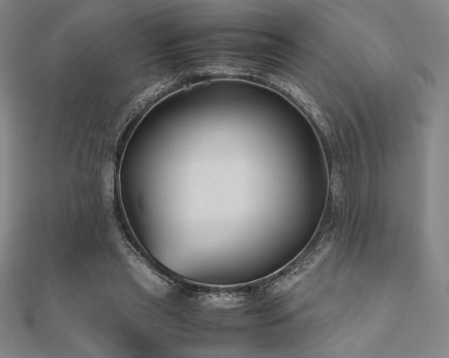 X0000112510445200908171337