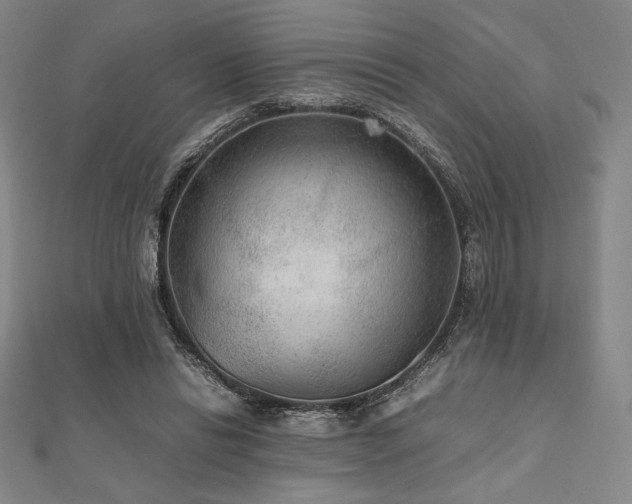 X0000112510446200908171337