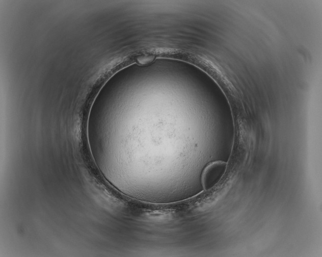 X0000112510447200908171337