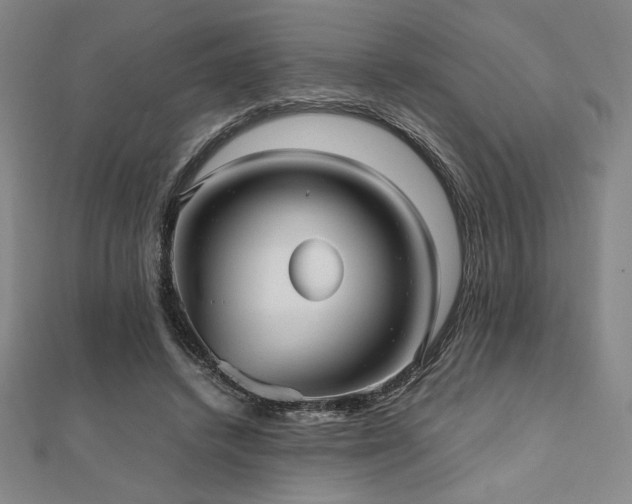 X0000112510448200908171337