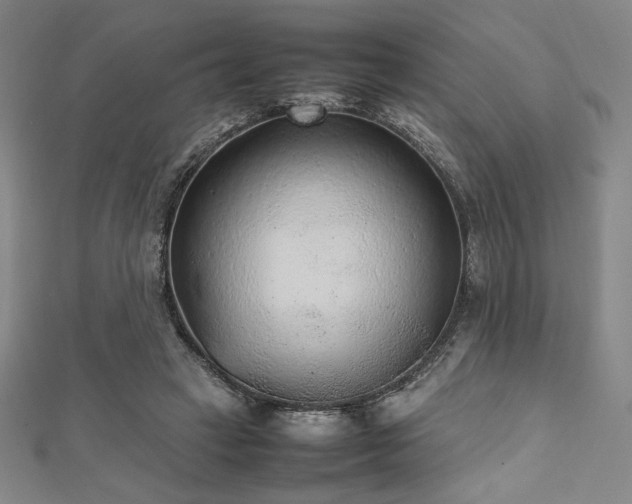 X0000112510449200908171337