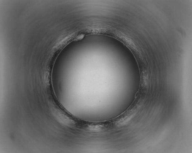 X0000112510450200908171337