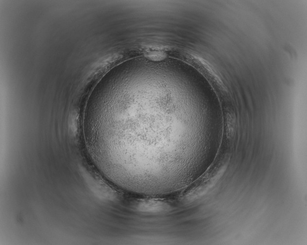 X0000112510451200908171337