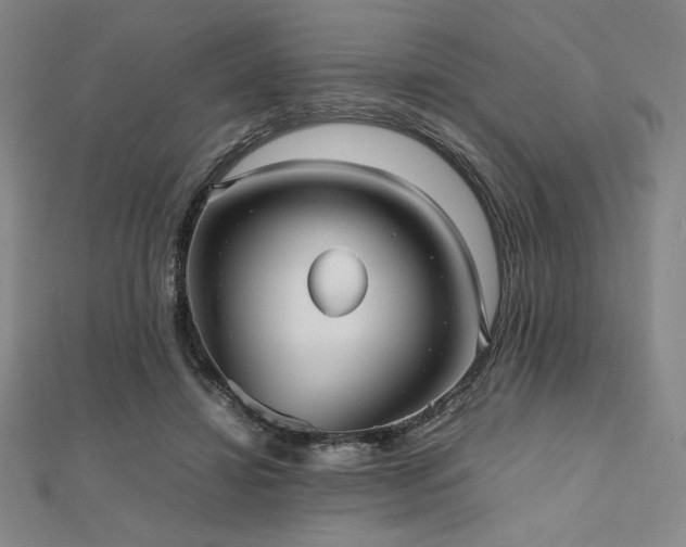 X0000112510452200908171337