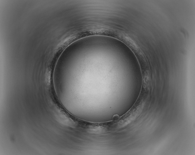 X0000112510454200908171337