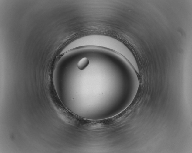 X0000112510456200908171337