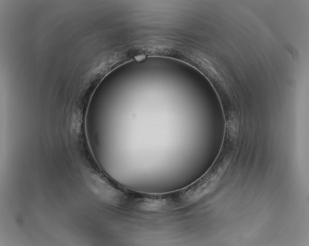 X0000112510458200908171337