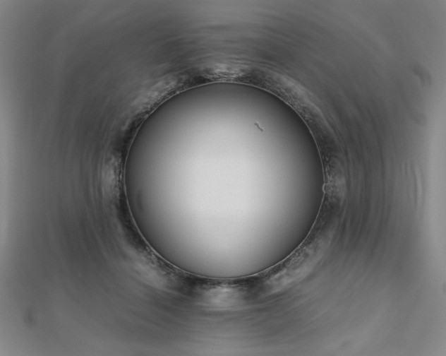 X0000112510460200908171337