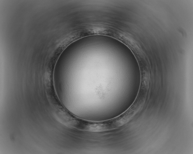 X0000112510461200908171337