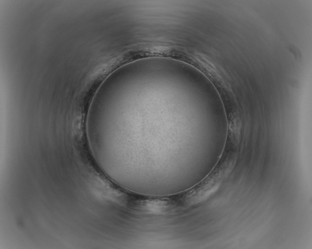 X0000112510462200908171337