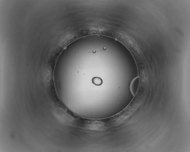 X0000112510463200908171337