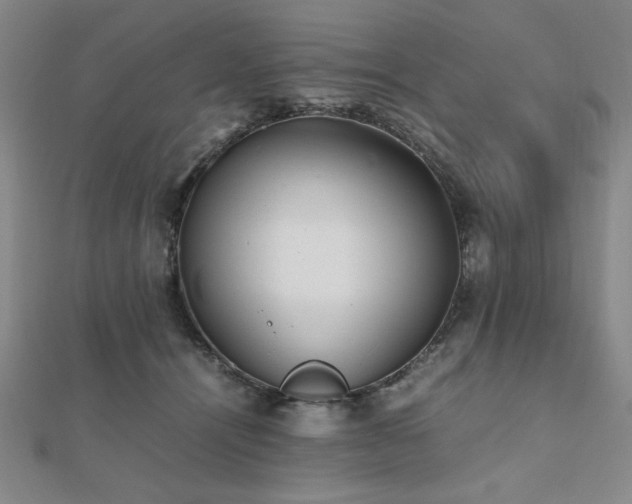 X0000112510464200908171337