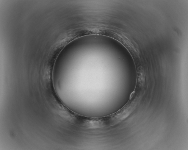 X0000112510466200908171337