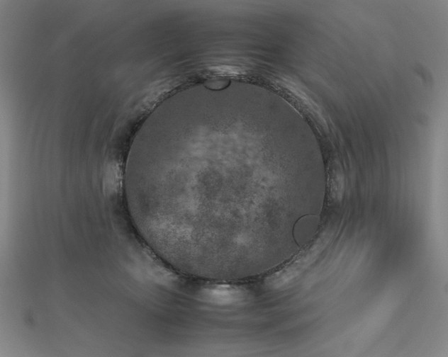 X0000112510467200908171337