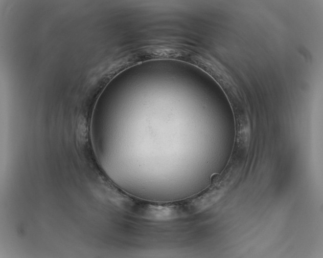 X0000112510469200908171337