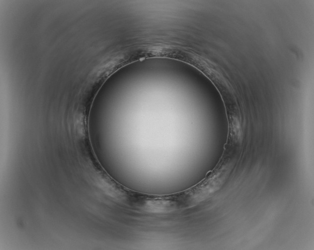 X0000112510470200908171337