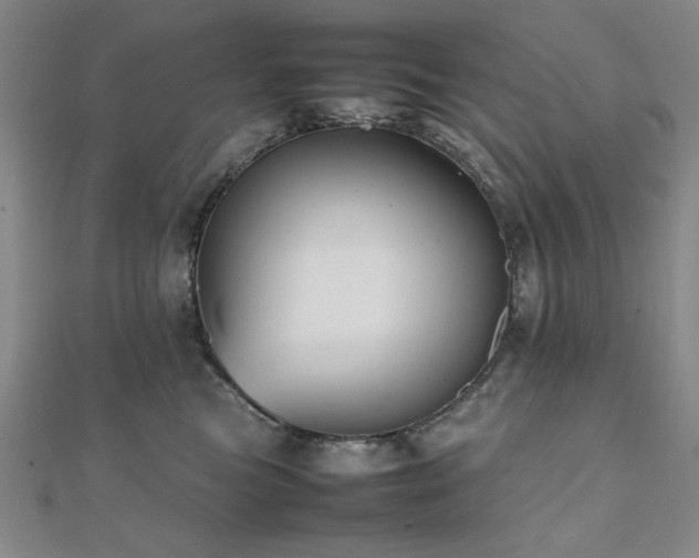 X0000112510473200908171337