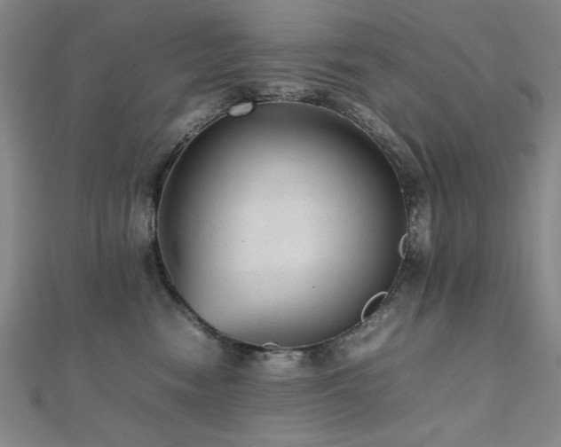 X0000112510474200908171337