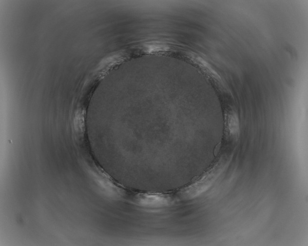 X0000112510475200908171337