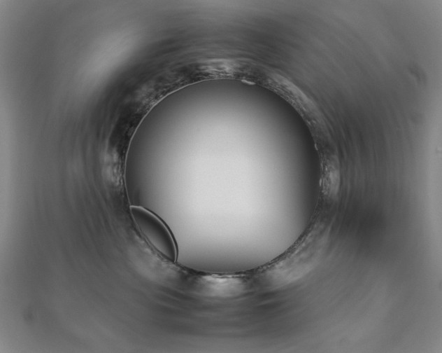 X0000112510477200908171337