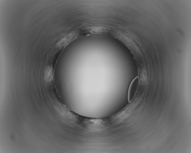 X0000112510478200908171337