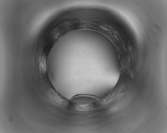 X0000112510479200908171337