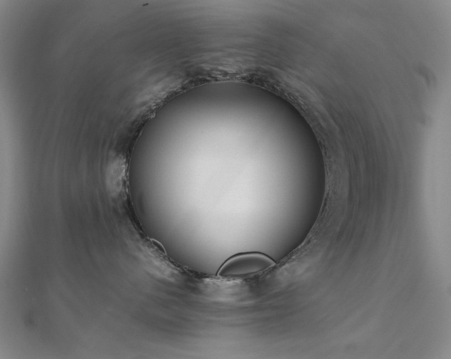 X0000112510480200908171337