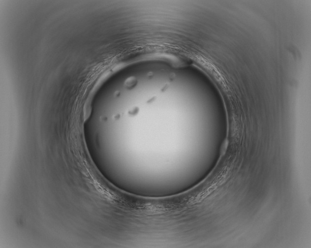 X0000112510481200908171337