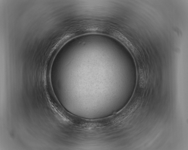 X0000112510482200908171337