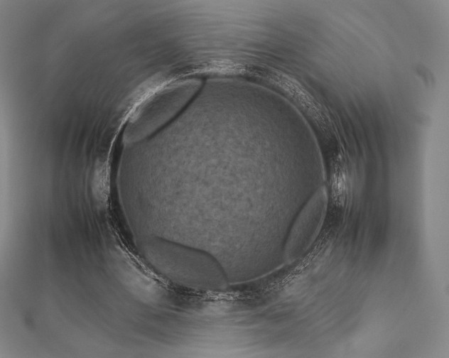 X0000112510484200908171337