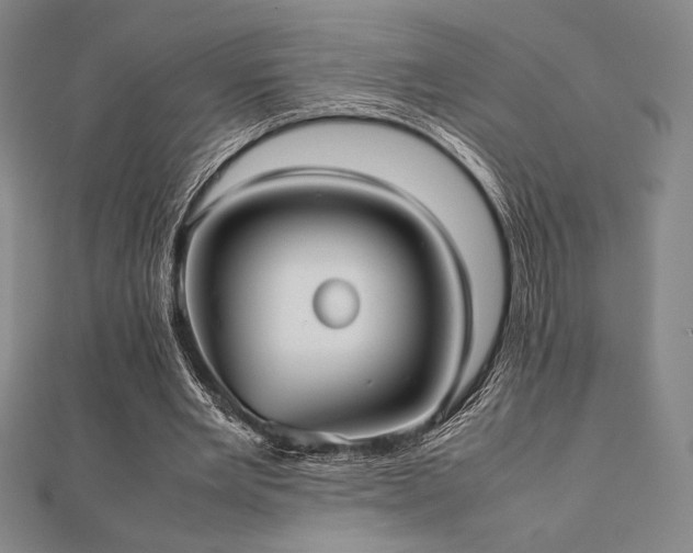 X0000112510485200908171337