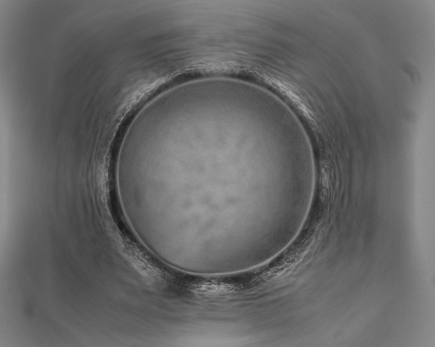 X0000112510487200908171337