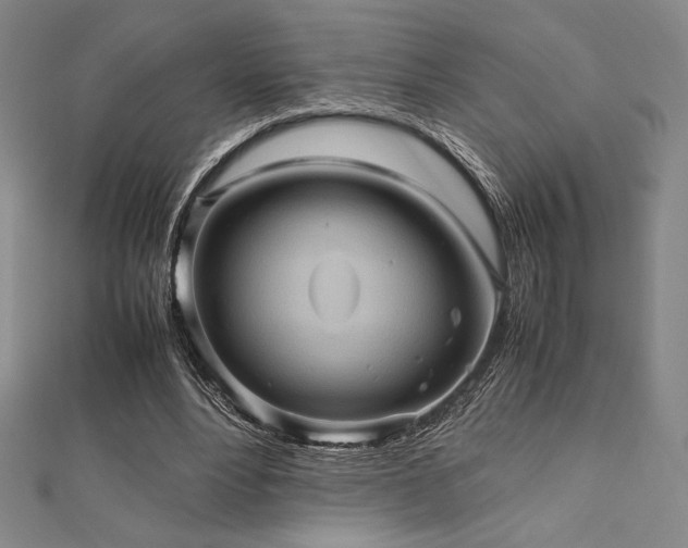 X0000112510488200908171337