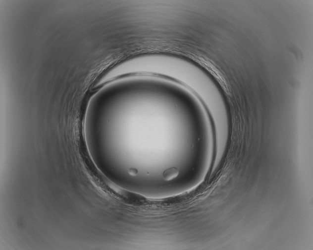 X0000112510489200908171337