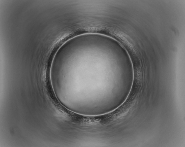 X0000112510491200908171336