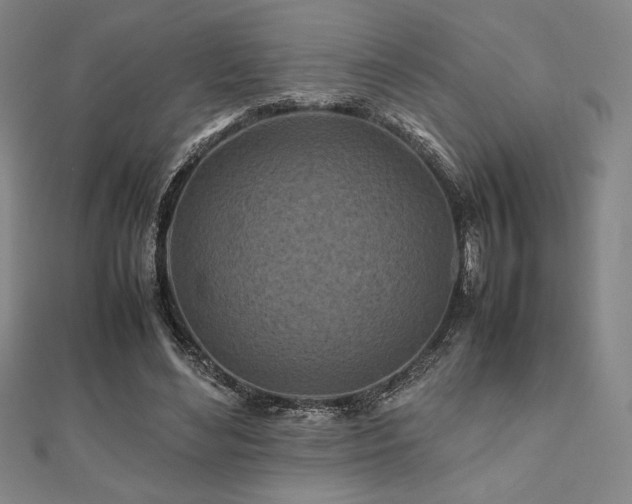 X0000112510492200908171336