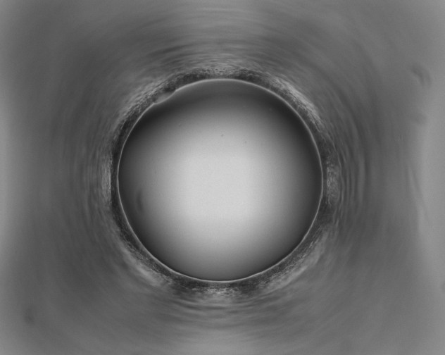 X0000112510493200908171336