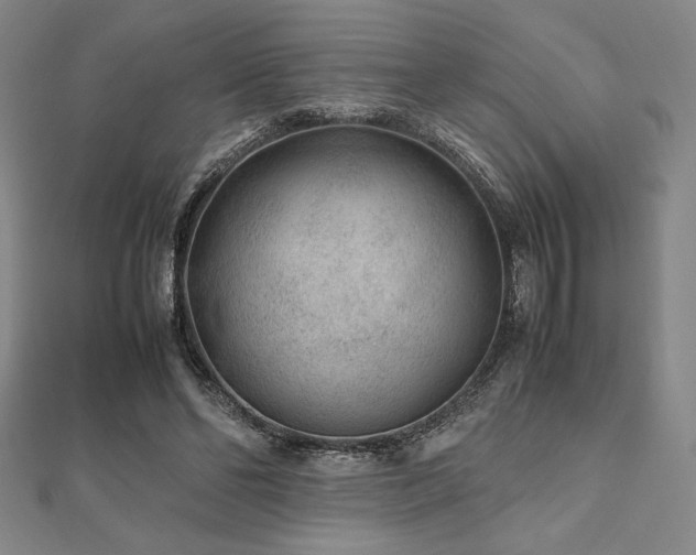 X0000112510494200908171336