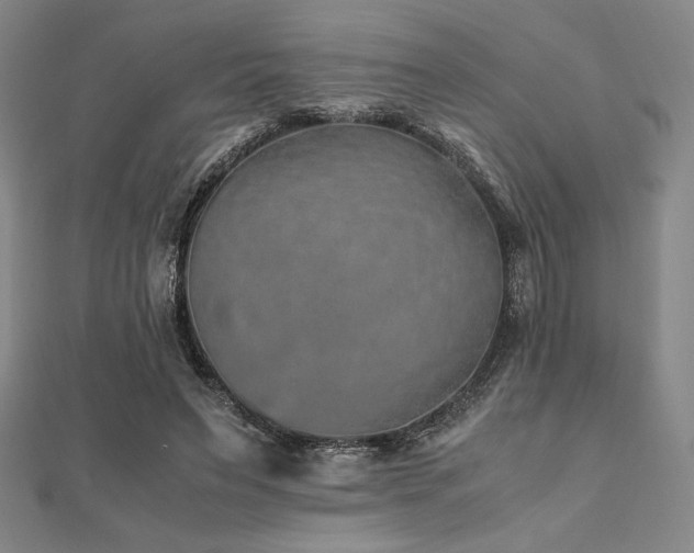 X0000112510495200908171336