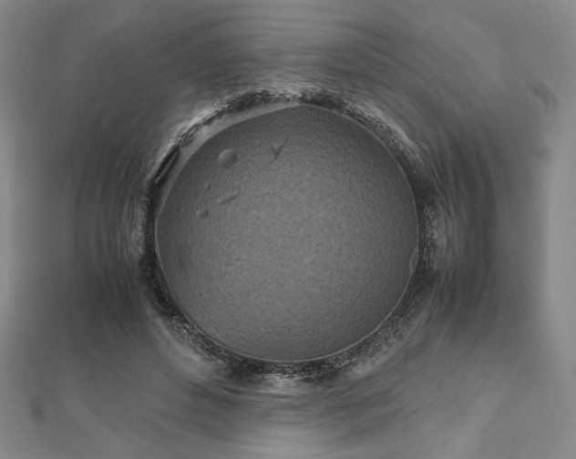 X0000112510496200908171336