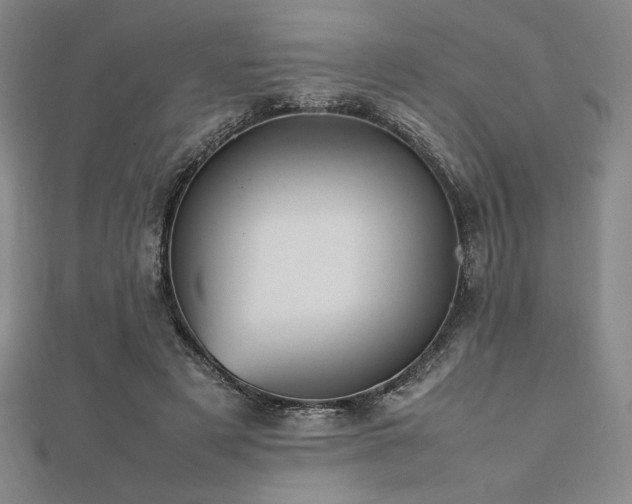 X0000112510497200908171336