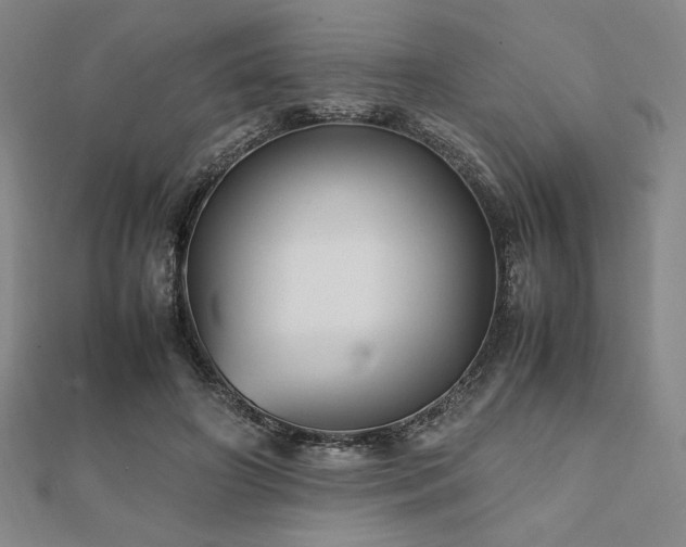 X0000112510498200908171336